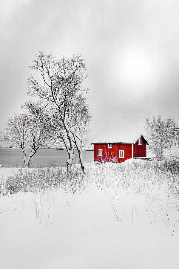 Red Solitude Photograph by Philippe Sainte-Laudy