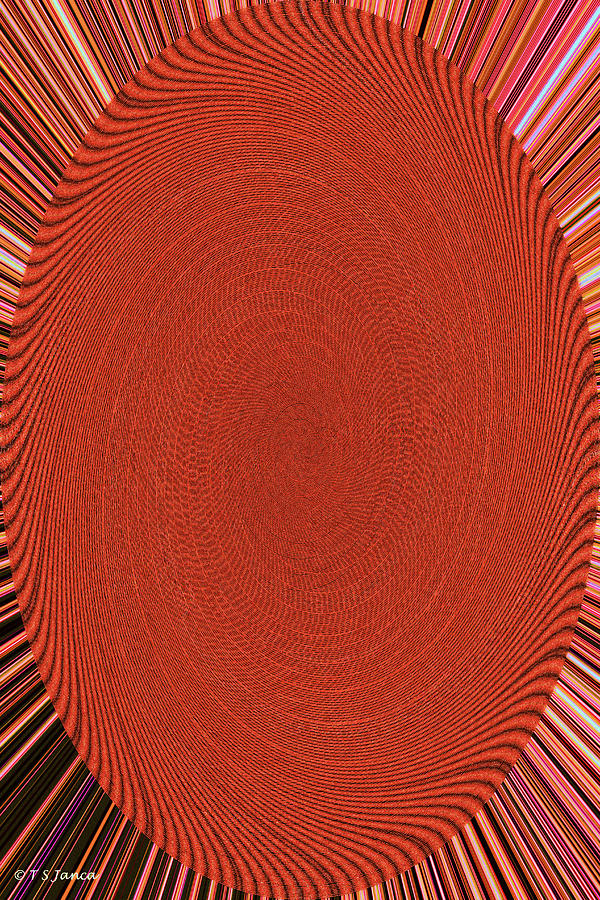 Red Spot Rose Abstract Digital Art by Tom Janca