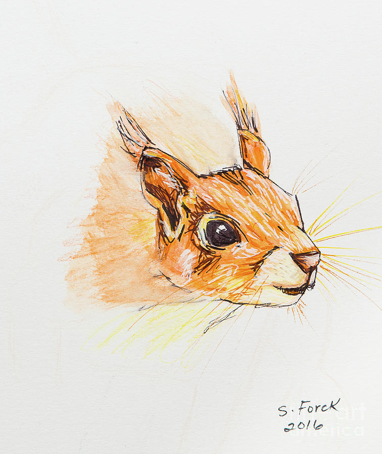 Pen Painting - Red squirrel face by Stefanie Forck