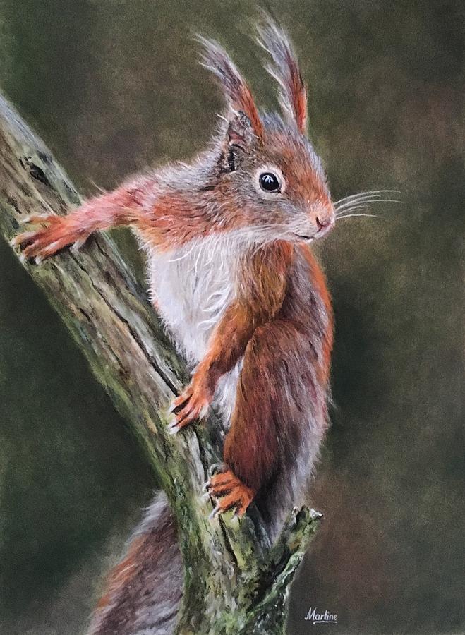 squirrel drawing