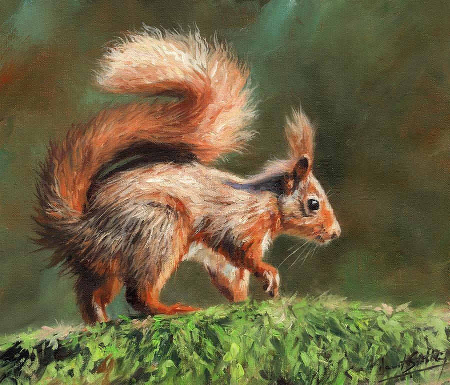 Red Squirrel On Branch Painting by David Stribbling