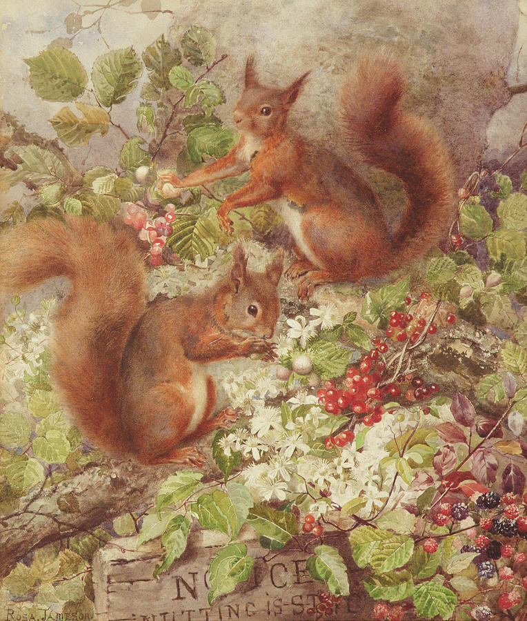 Squirrel Painting - Red Squirrels Gathering Fruits and Nuts by Rosa Jameson
