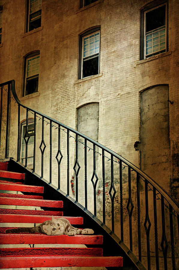  Red Stair Case Digital Art by Diana Angstadt