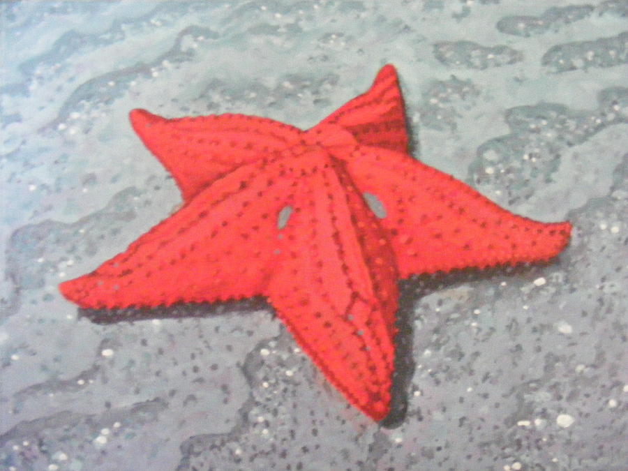 Red Starfish Painting by Dan Remmel
