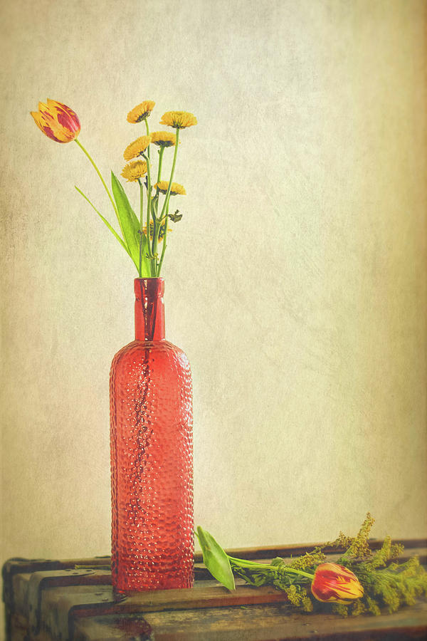 Red Still Life Photograph by Jerri Moon