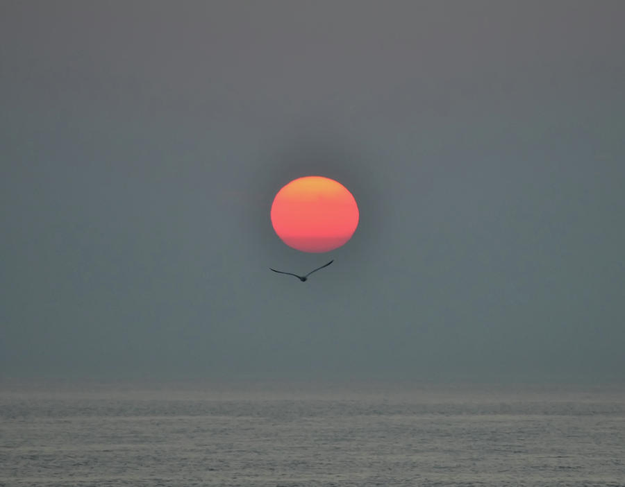 Red Sun Above the Atlantic Ocean Photograph by Bill Cannon