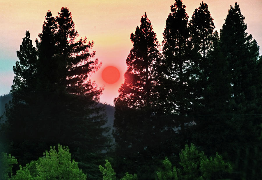 Red Sun Photograph