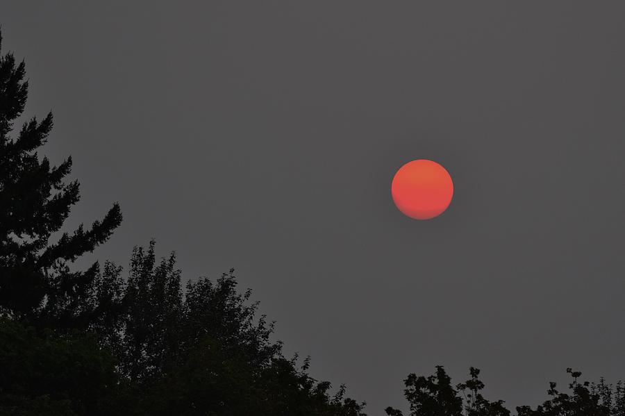 Red Sun Rising Photograph by Jimmy Chuck Smith