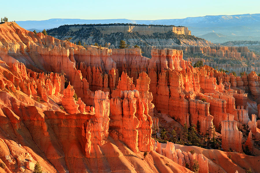 Bryce Photograph - Red sunrise glow on the Hoodoos of Bryce Canyon by Pierre Leclerc Photography Bryce Photograph - Red sunrise glow on the Hoodoos of Bryce Canyon by Pierre Leclerc Photography