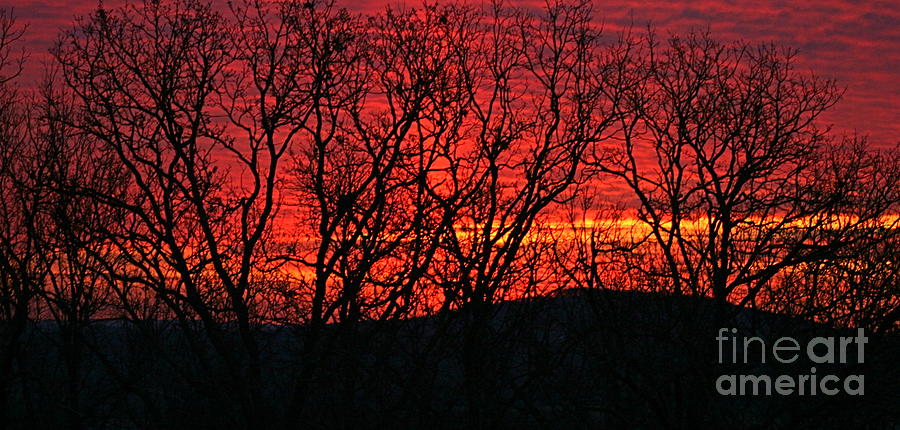 Red Sunrise Over the Ozarks Photograph by Nadine Rippelmeyer