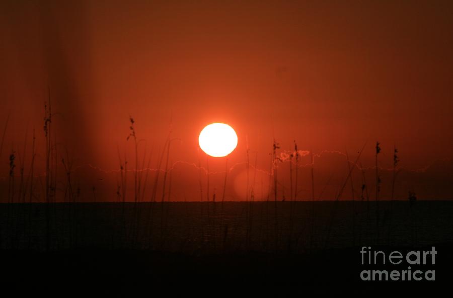 Sunset Photograph - Red Sunset and Grasses by Nadine Rippelmeyer