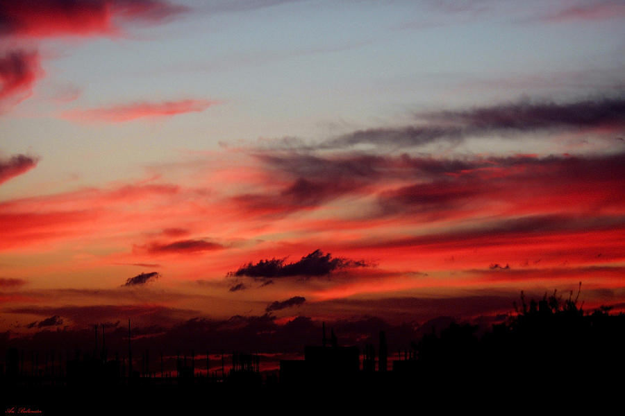Red sunset Photograph by Arik Baltinester