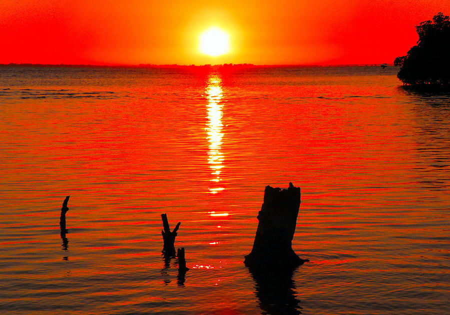 Red Sunset at Bunche Beach Photograph by Rosalie Scanlon
