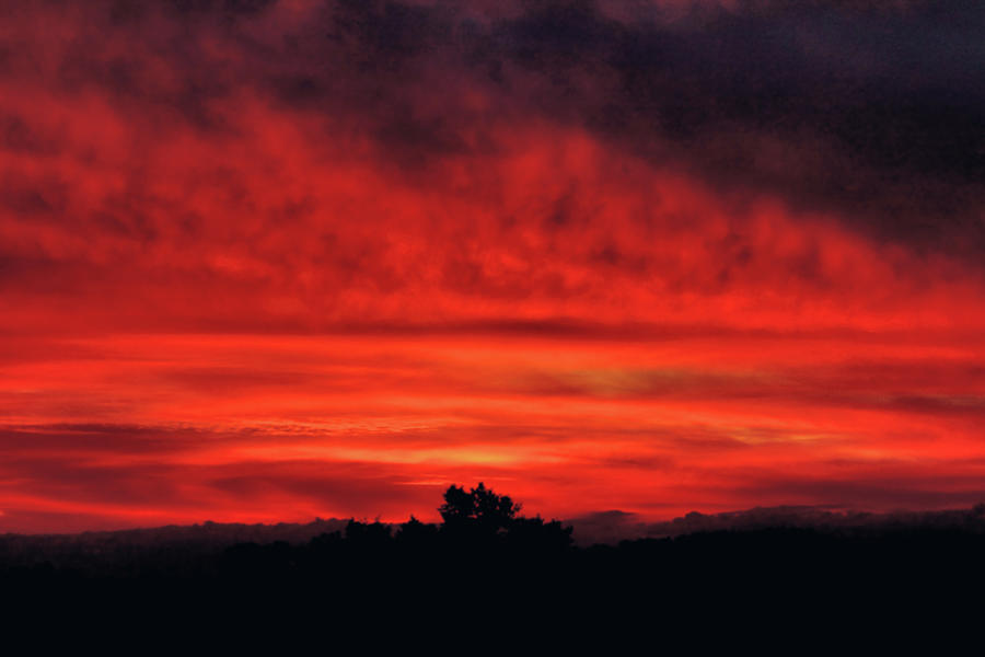 red Sunset by Iuliia Malivanchuk Photograph