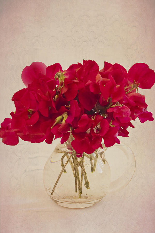 Sweet Peas Photograph - Red Sweet Pea Bouquet by Sandra Foster