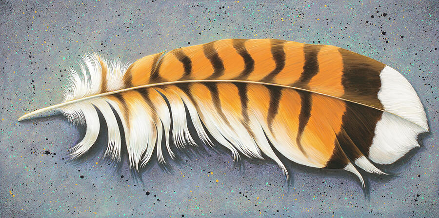 Red Tail Hawk Feather Painting by Tish Wynne