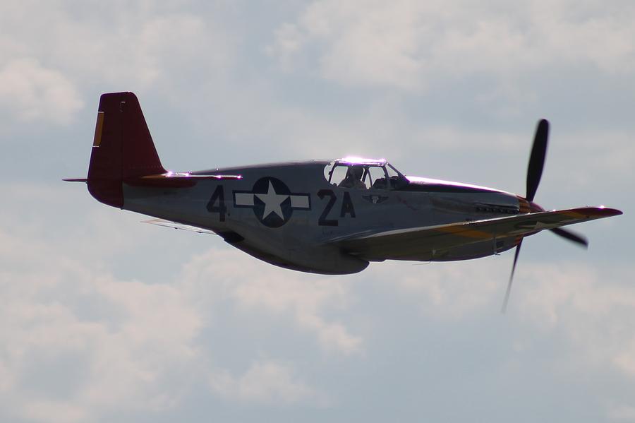 Red Tail P-51 Photograph by James Haney - Fine Art America