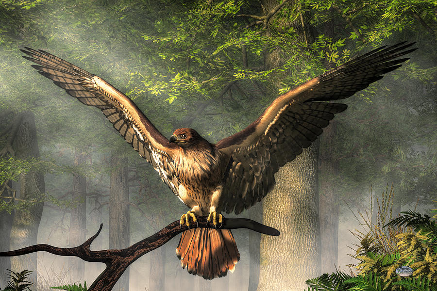 Red Tailed Hawk Digital Art by Daniel Eskridge