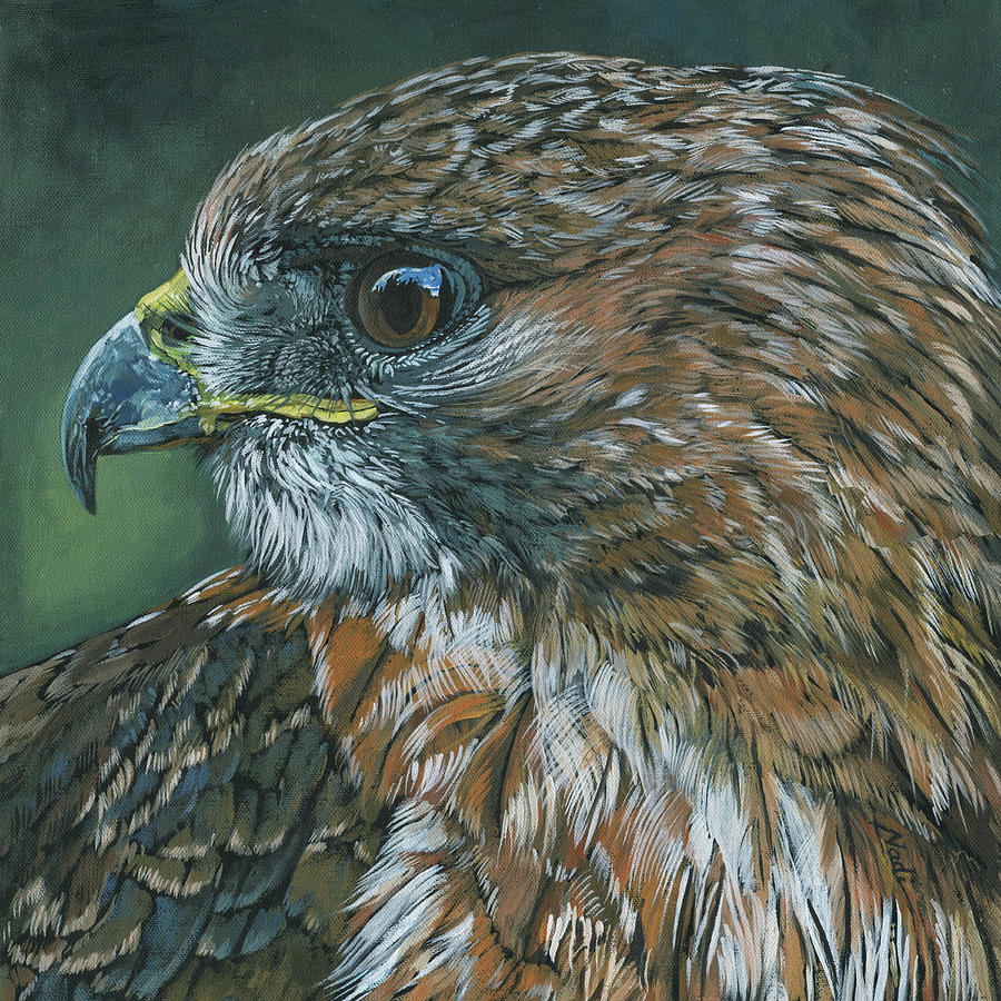 Red-tailed Hawk Painting by Nadi Spencer