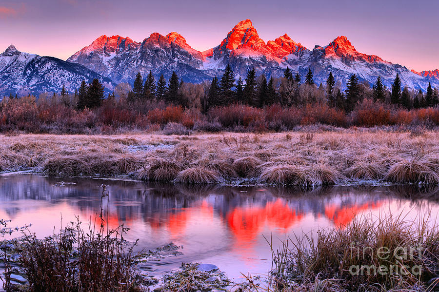 Red Teton Peaks In The Willows Landscape Photograph by Adam Jewell