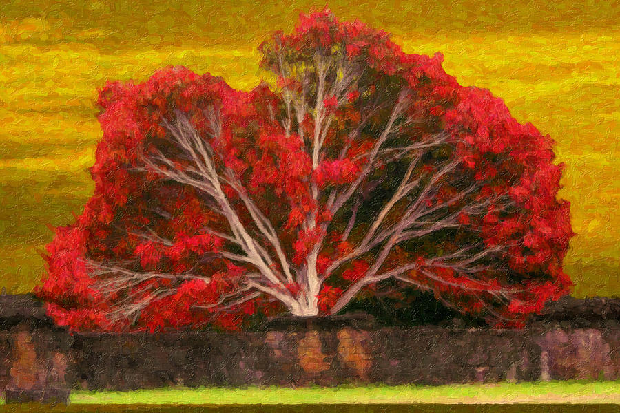Red Thai Tree Painting by Rob Tullis