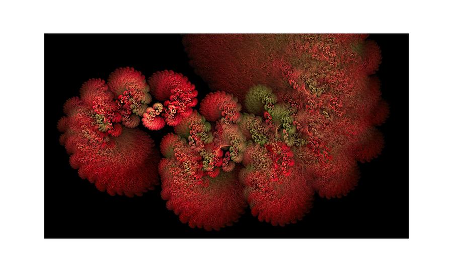 Red Tide Bloom Digital Art by Doug Morgan