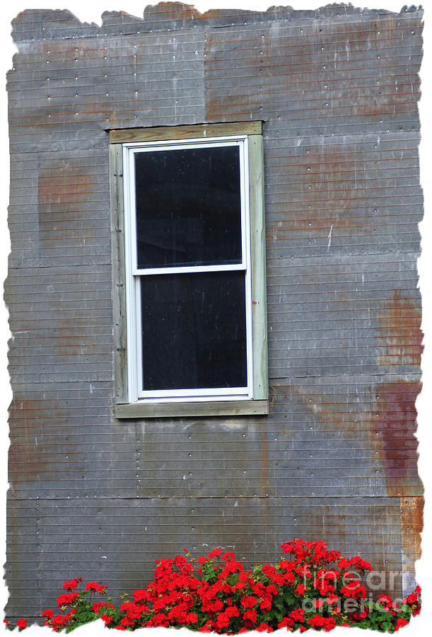 Red Tin Window Photograph by Lori Mellen-Pagliaro