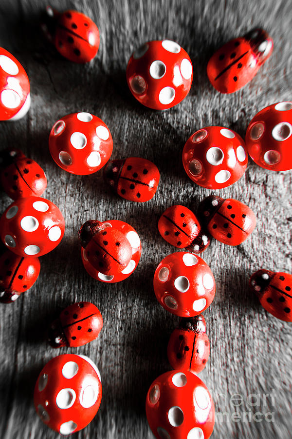Red toad stools and toy ladybirds Photograph by Jorgo Photography