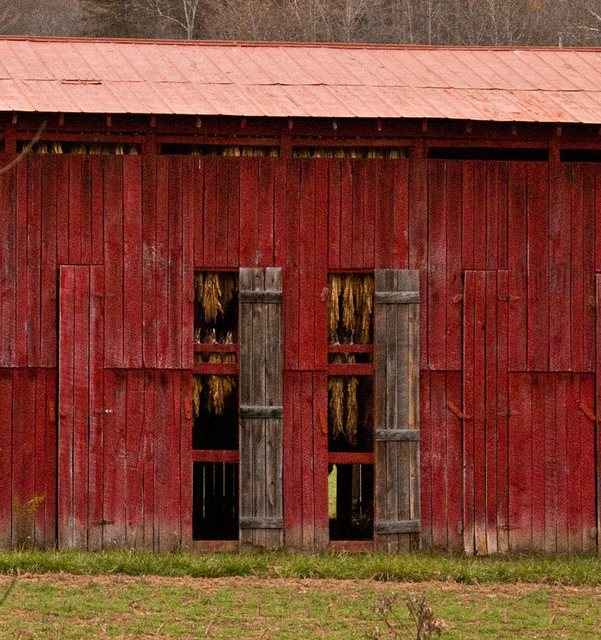 Barn Photograph - Red Tobacco Barn by Douglas Barnett