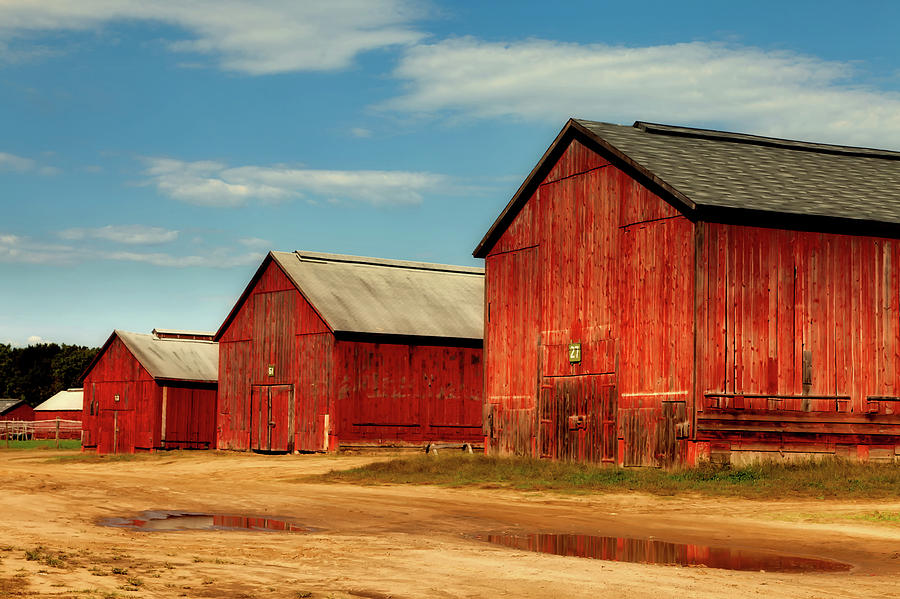 Red Tobacco Barns Photograph By Mountain Dreams