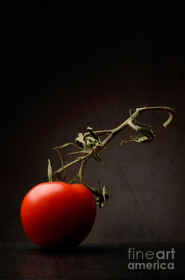 Red tomato Photograph by Andreas Berheide