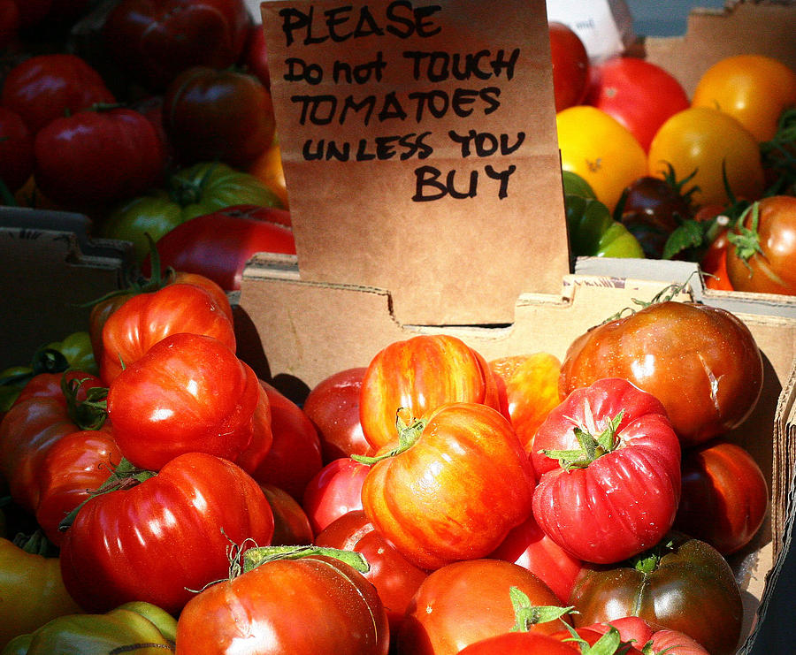 Red Tomatoes Photograph by Margaret Hood