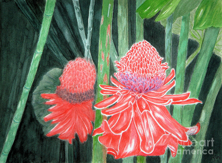 Red Torch Ginger Painting by Yvonne Johnstone
