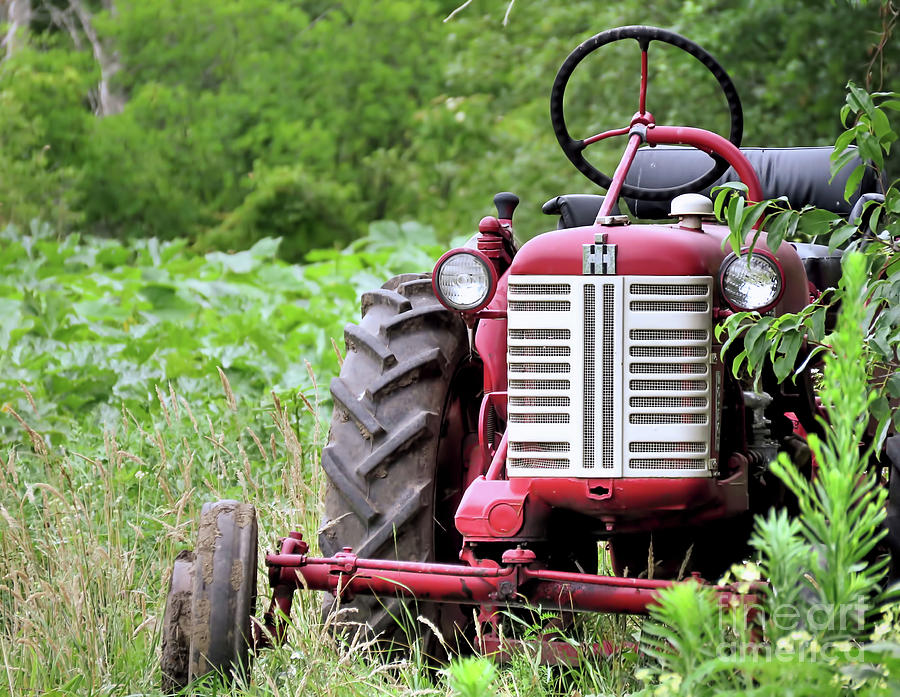 Red Tractor  Photograph by Janice Drew
