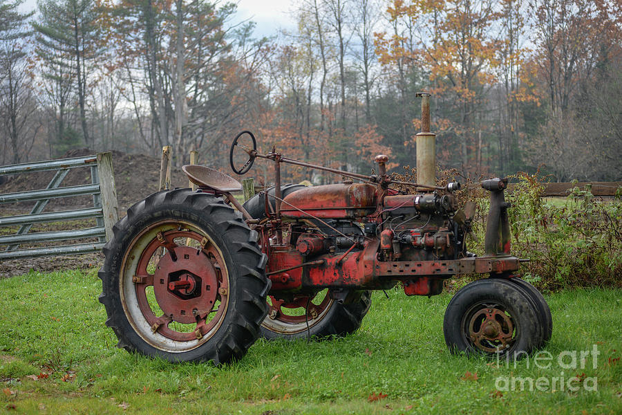 Red Tractor Photograph by Lisa Bryant