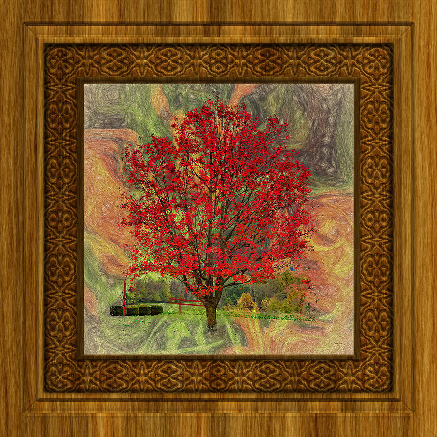 Red Tree Abstract with Frame Photograph by John M Bailey