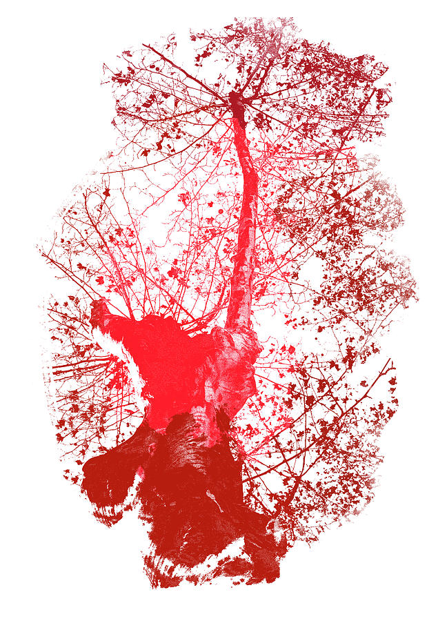 Red Tree in Autumn  Painting by AM FineArtPrints