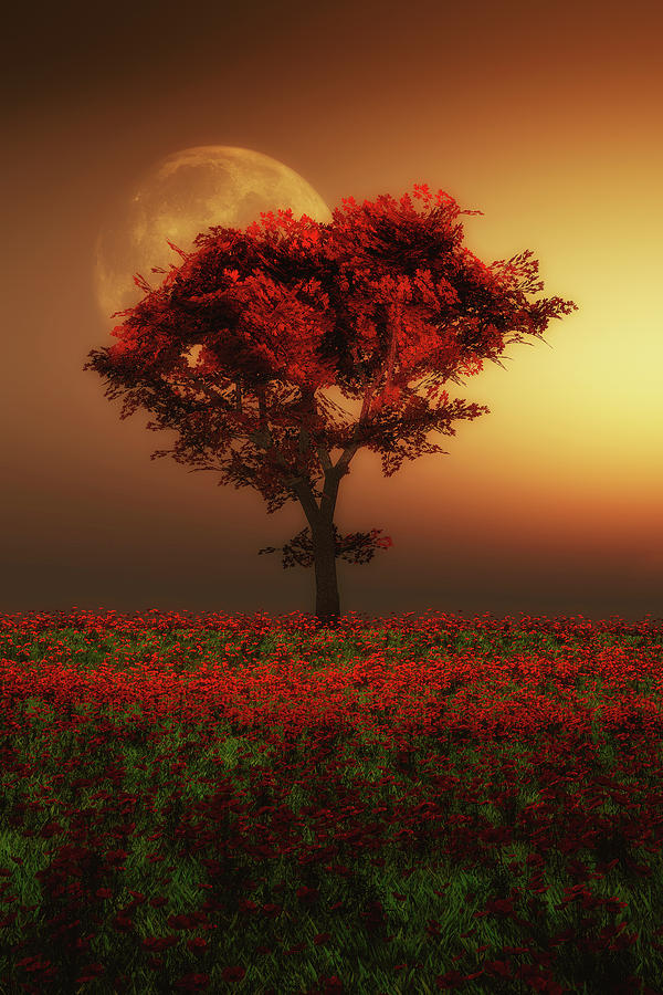 Red tree in the evening Painting by Jan Keteleer