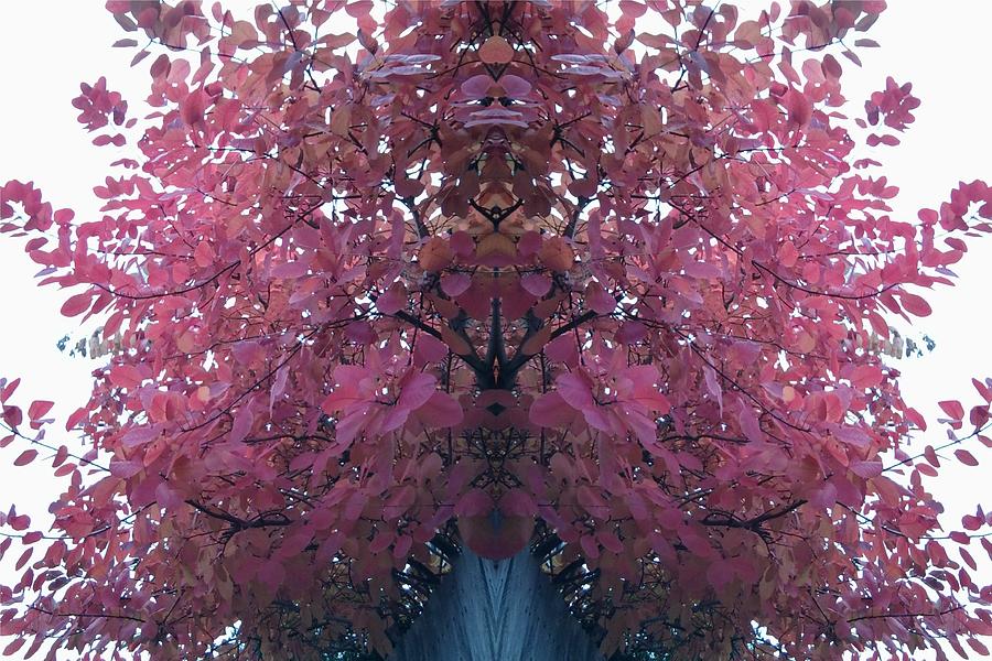 Red Tree Leaves 2 Mirror Photograph by Julia Woodman