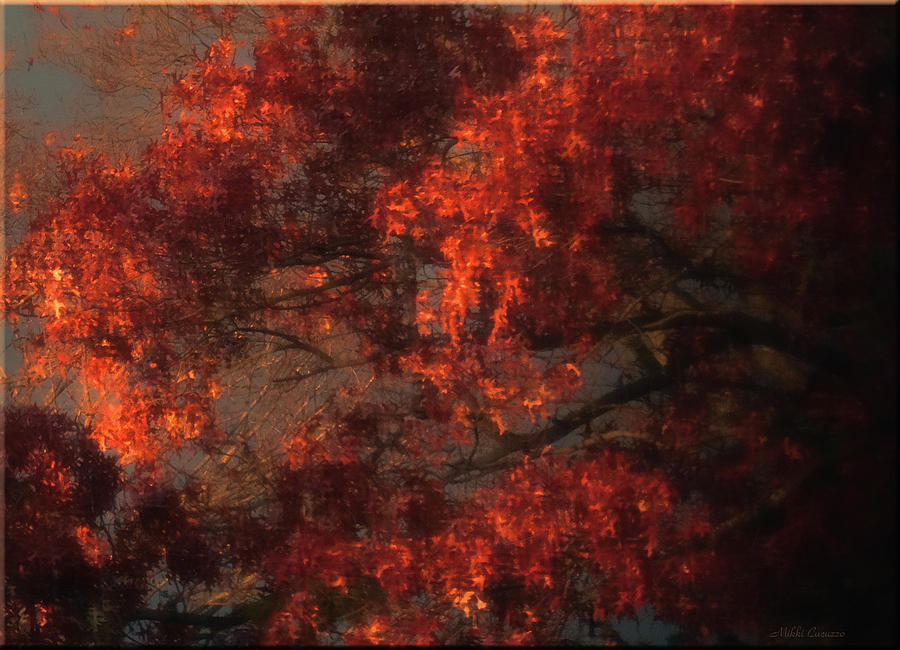 Nature Photograph - Red Tree Scene by Mikki Cucuzzo