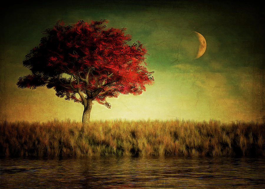 Red Tree With Moonrise Painting by Jan Keteleer