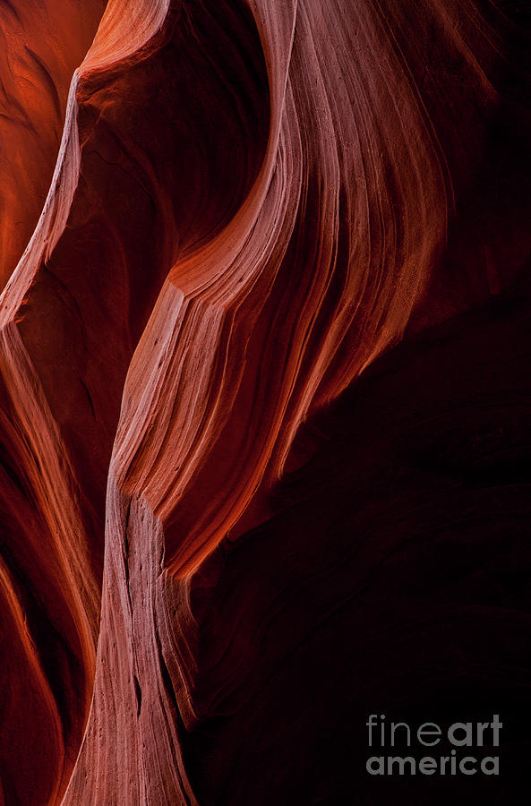Red Tresses Photograph by Michael Dawson