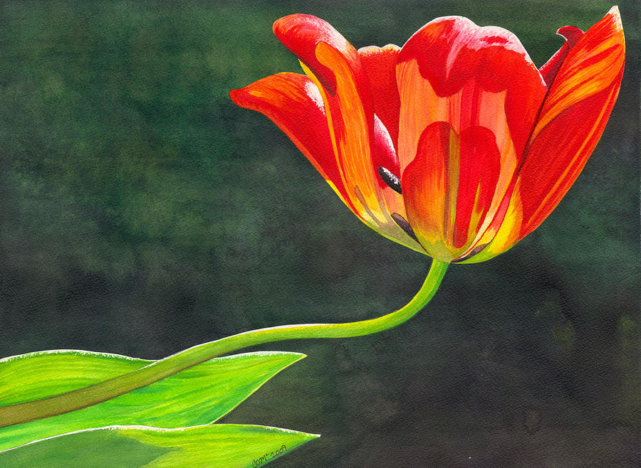 Red Tulip Painting by Catherine G McElroy
