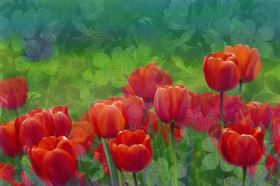 Red Tulips Mixed Media by Georgiana Romanovna