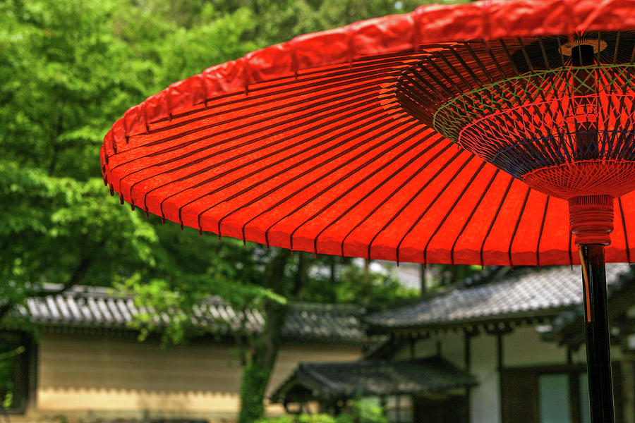 Umbrella Photograph - Red umbrella by Shin YAMADA