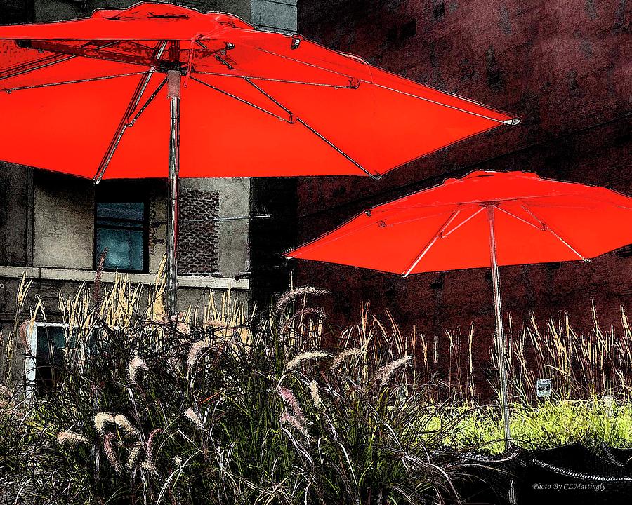Red Umbrellas in Chicag Photograph by Coke Mattingly