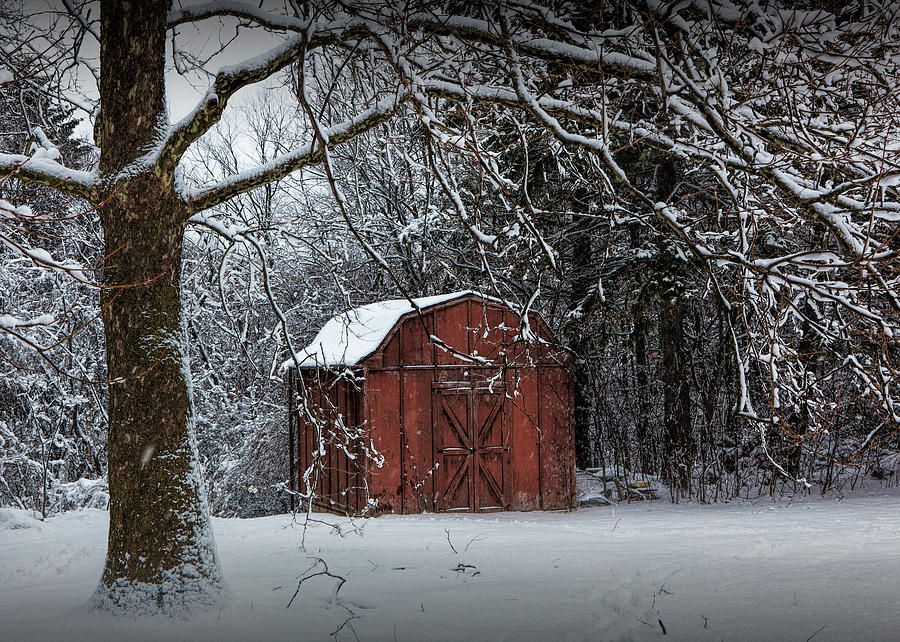 Red Utility Barn among the trees during a snowstorm Photograph by Randall Nyhof