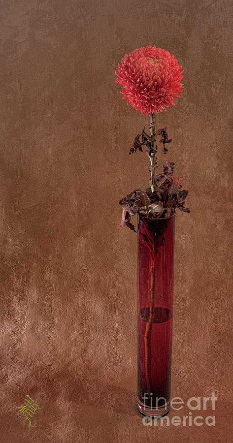 Red Vase Photograph by Syed Muhammad Munir ul Haq