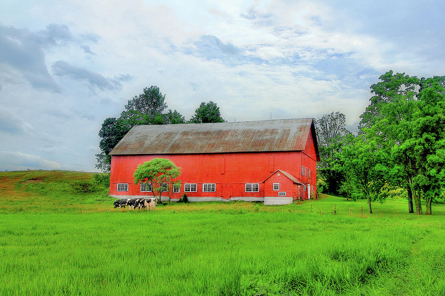 Barn Photograph - Red Vermont Barn by Brian Pflanz Barn Photograph - Red Vermont Barn by Brian Pflanz