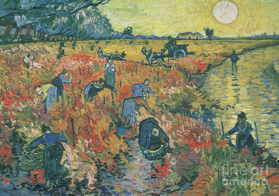 Red Vineyards at Arles Painting by Vincent van Gogh
